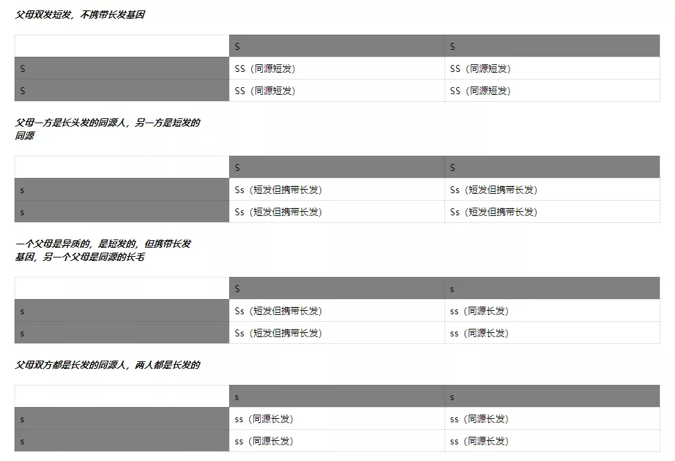 长毛猫的毛为什么是长的？