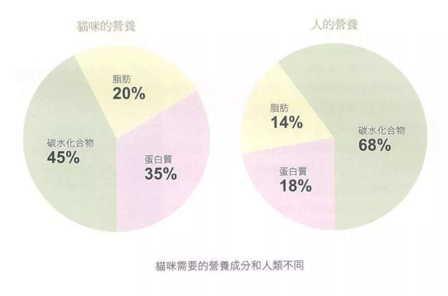 如何看懂猫粮分析表？