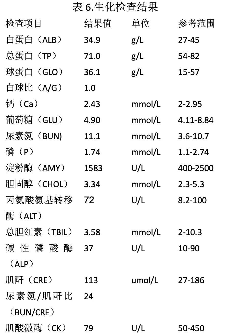 维生素D在猫咪慢性肾病血磷控制中的应用探索