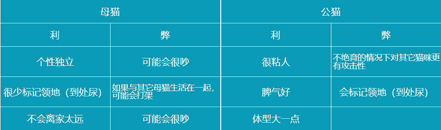 公猫和母猫的性格差异有多大？