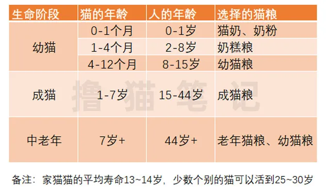 幼猫粮、成猫粮、全猫粮他们之间的区别是什么？