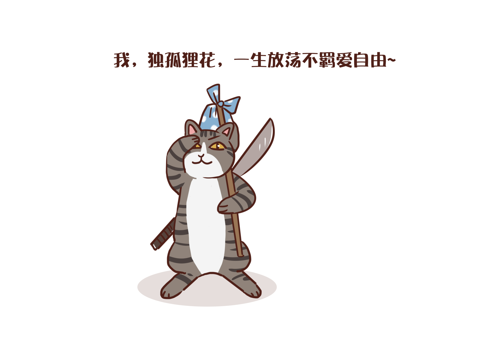 狸花猫这么优秀，为啥很少有人养？