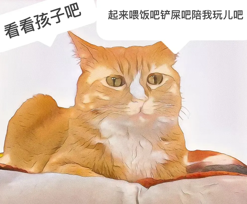 猫咪为什么喜欢睡在铲屎官胸口？(猫咪为什么喜欢睡在人胸上)