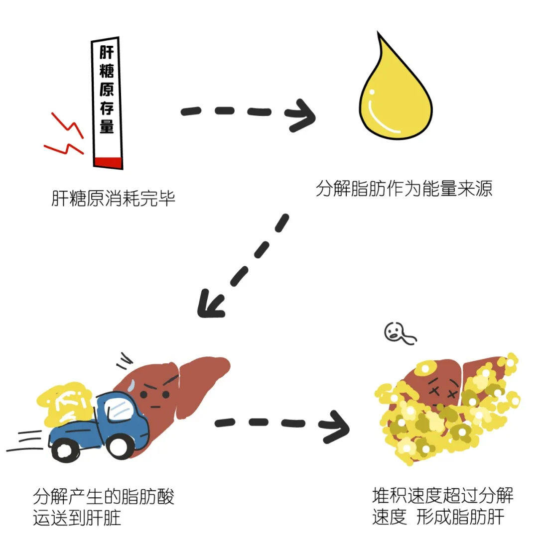 为什么我家的猫这么爱挑食？（猫咪挑食怎么解决？）