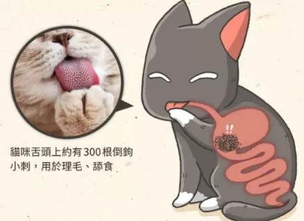 猫咪猫两天没拉屎，是不是得了便秘？