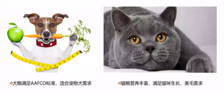 如何分辨猫粮的好坏？（教你3步立刻分辨猫粮好坏）