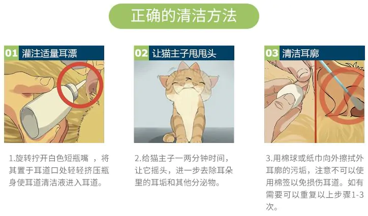 猫咪得了耳螨该怎么治疗？