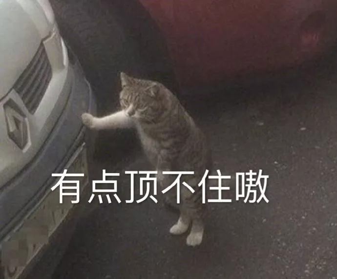 猫咪表情包 可爱 高糊 难受 表情包下载