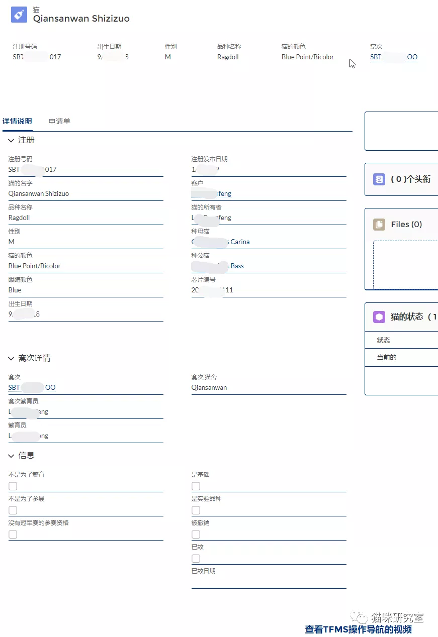 买猫指南二：血统和证书几乎没用，同等品相就选便宜的无证猫