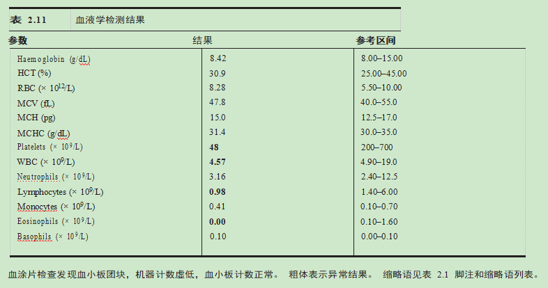 猫咪脂肪肝治疗的注意事项有哪些？