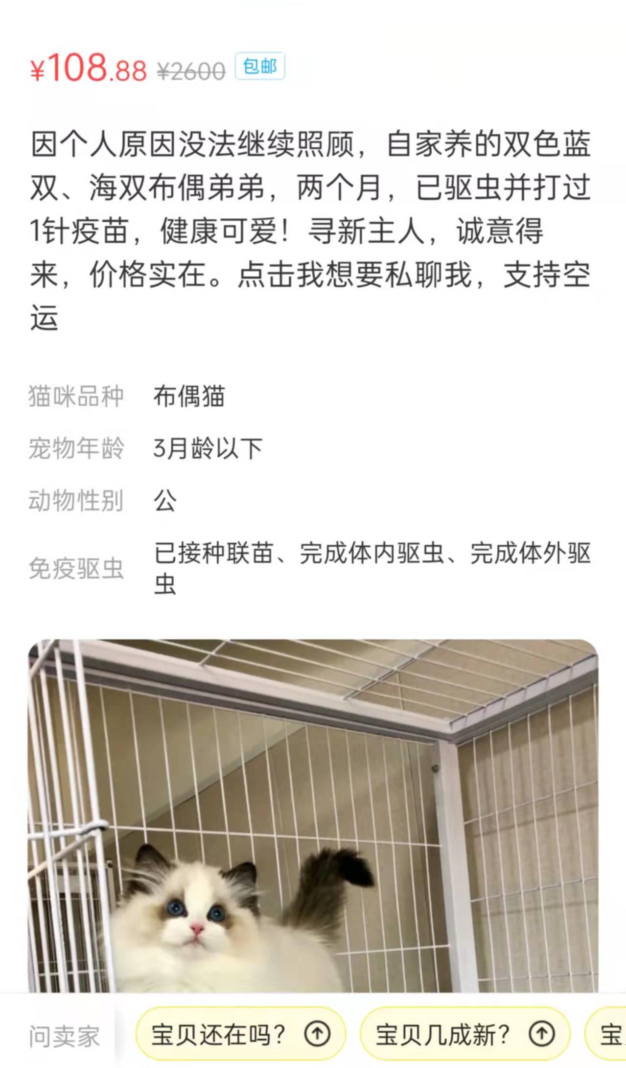 闲鱼上卖猫的套路都有哪些？（能不能在咸鱼上买猫？）