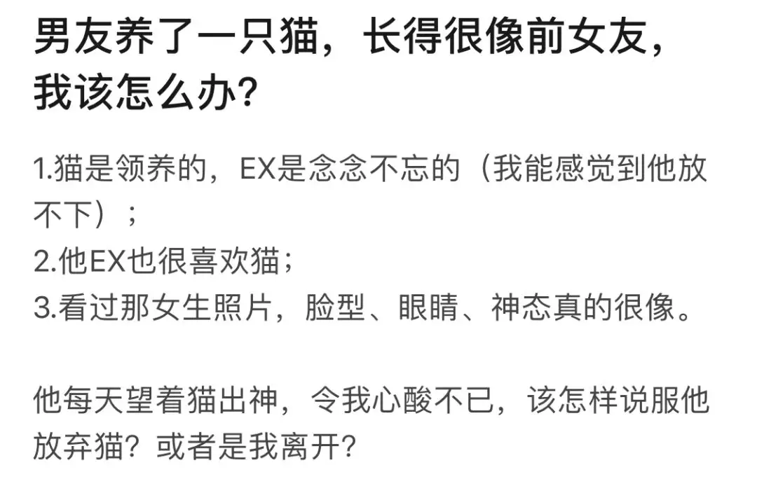 男朋友养的猫咪长得像前女友，该怎么办？