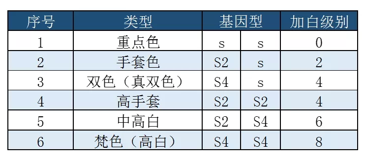 海豹重点色和蓝重点色的布偶猫介绍