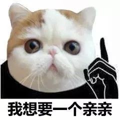 猫咪会抑郁吗？(猫咪抑郁症会有怎样的表现？)