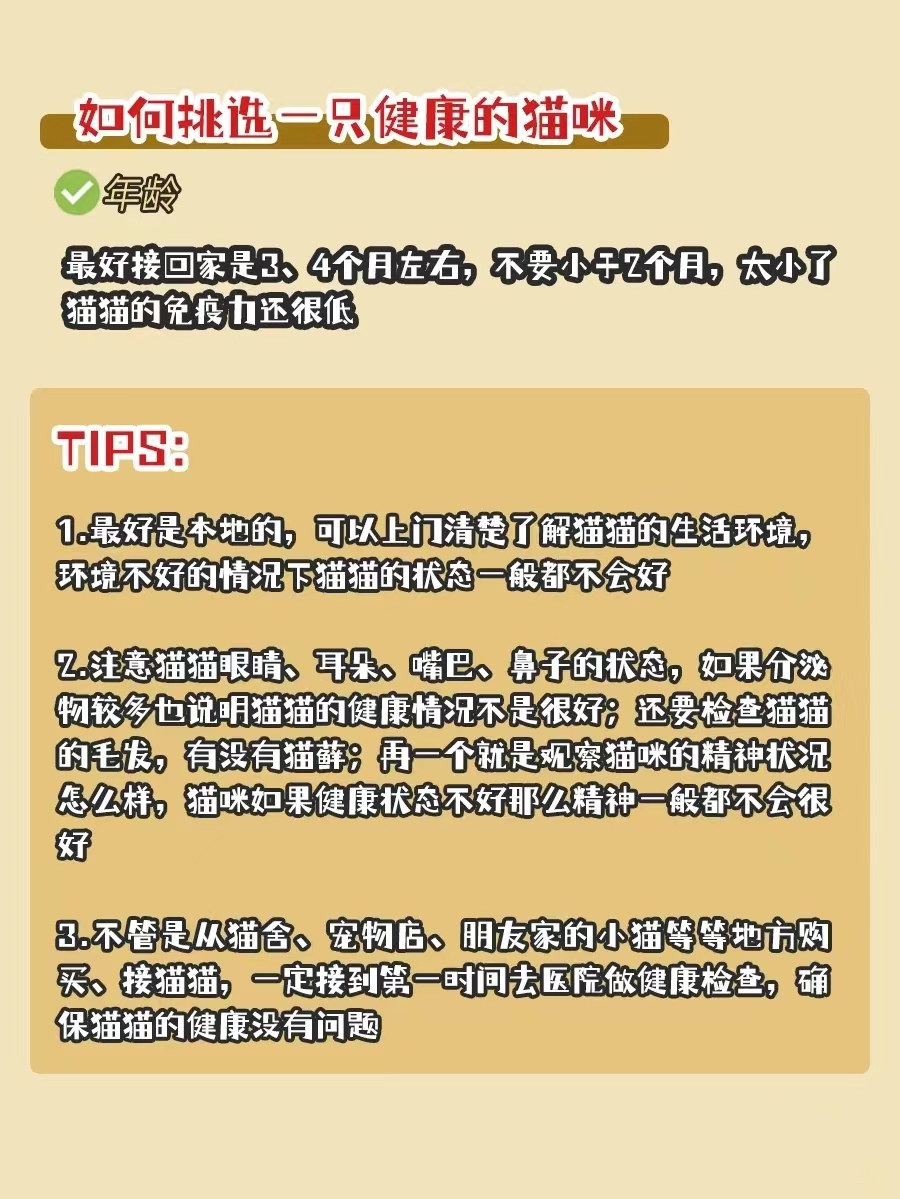 新手选猫必看！有哪些选猫避坑经验？