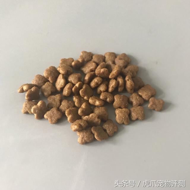 皇家猫粮属于什么档次(皇家猫粮怎么样)