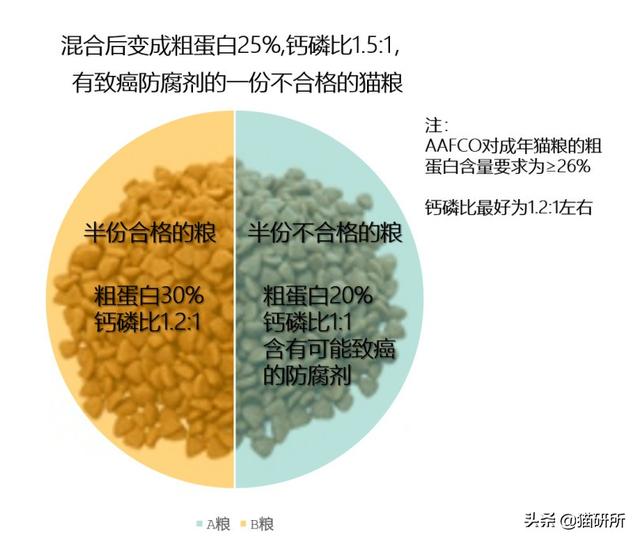 猫粮可以混着吃吗(两种猫粮可以混着吃吗)