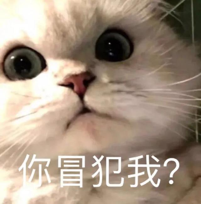 猫咪可以吃奶油吗(猫咪不能吃奶油吗)