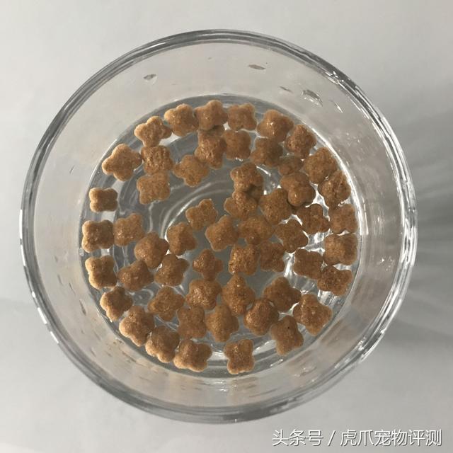 皇家猫粮属于什么档次(皇家猫粮怎么样)