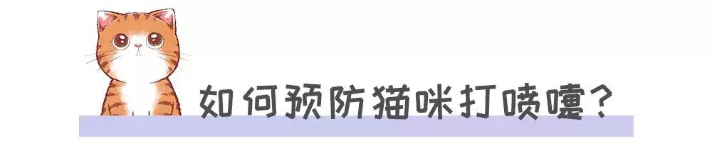 猫打喷嚏会传染给人吗(猫打喷嚏是什么原因)