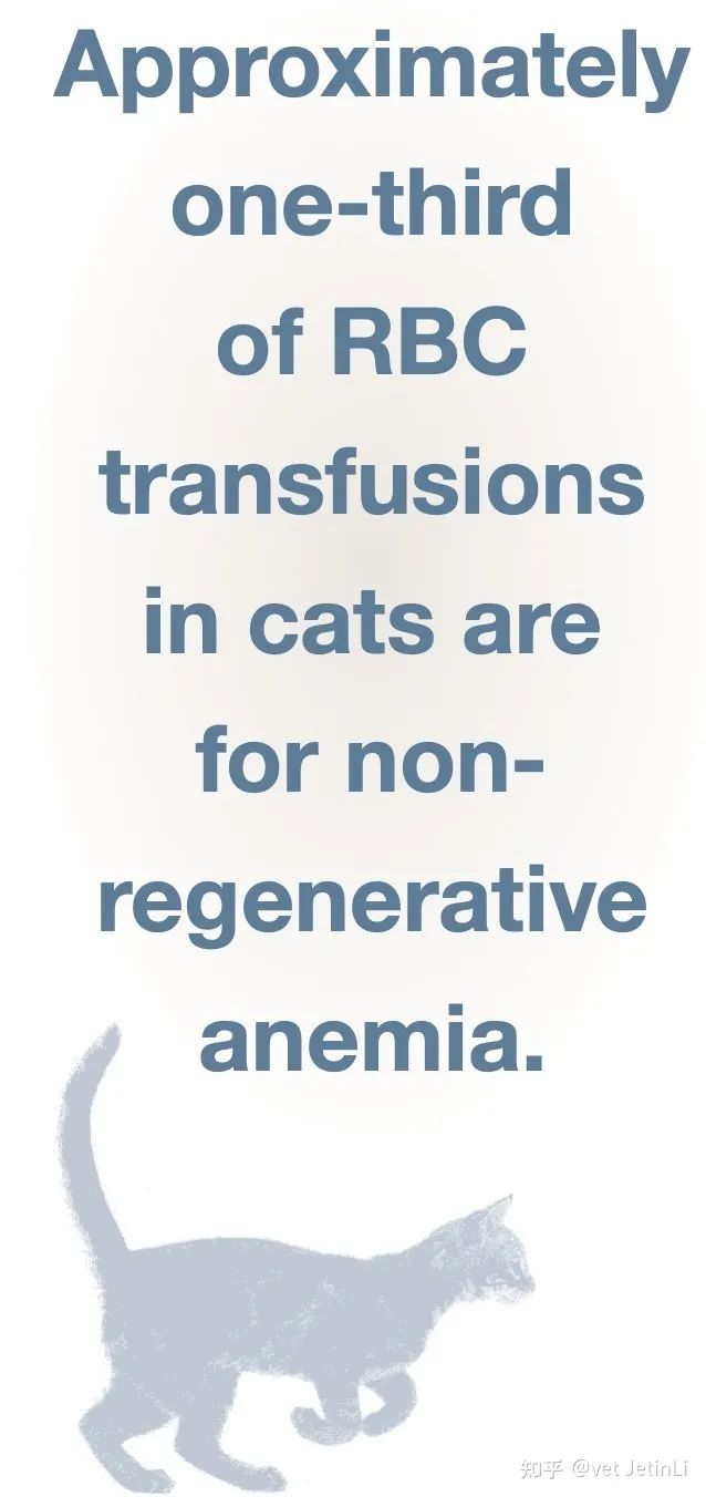 猫咪非再生性贫血的诊断和治疗建议
