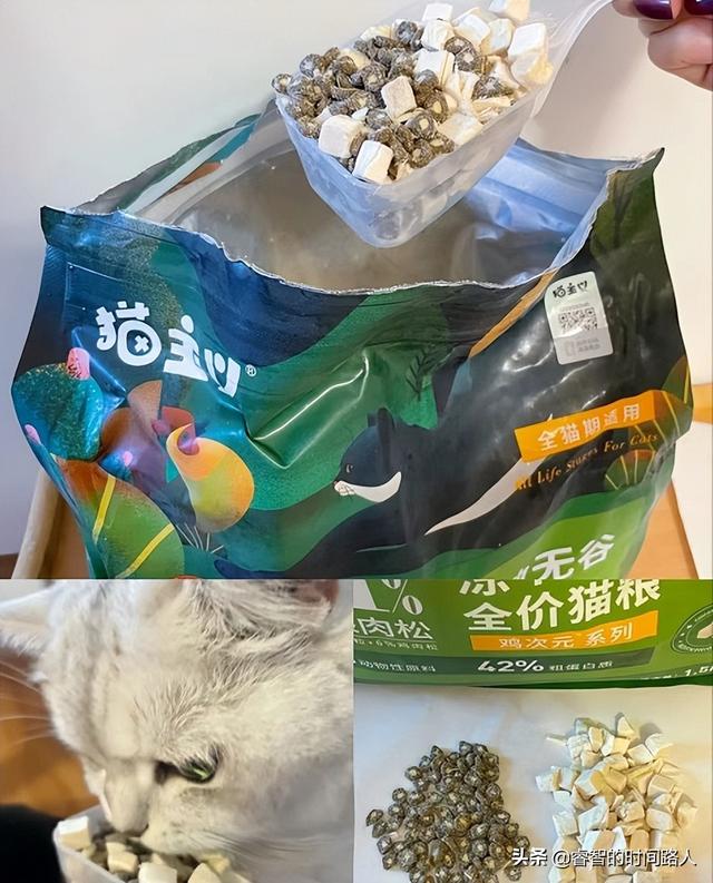 银渐层猫价格(银渐层猫价格多少钱一只)