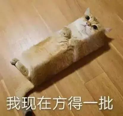 猫砂是什么垃圾(猫砂是什么垃圾分类)