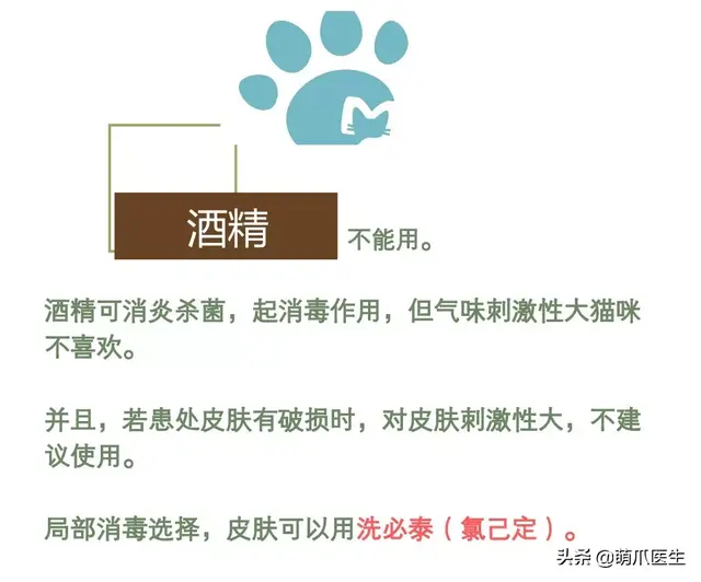 猫毛囊炎怎么治疗(猫毛囊炎怎么引起的)