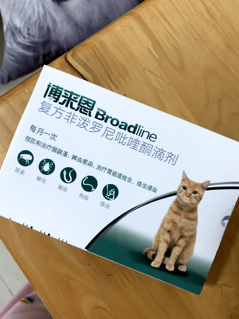 猫驱虫指南来喽！新手如何正确地给猫驱虫？