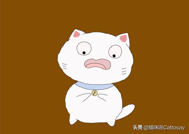 猫铃铛对猫有伤害吗(小铃铛对猫咪有影响吗)