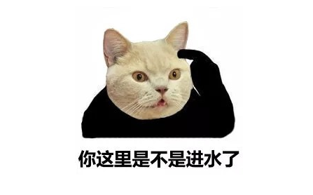 小猫流眼泪是怎么回事(小猫流眼泪怎么治疗)