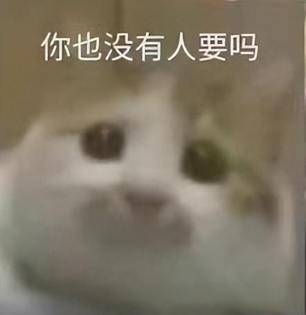 小猫表情包(小猫表情包沙雕)