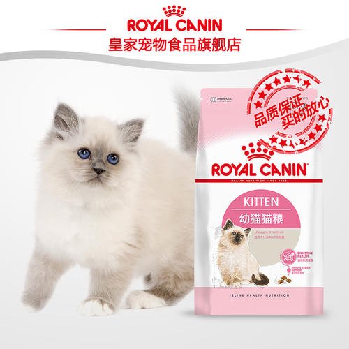 怎么教小奶猫吃猫粮 怎样引导小猫去碗里喝奶