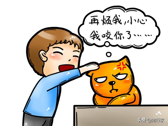 猫被咬伤了怎么处理伤口(猫被咬伤了怎么处理伤口用什么药)