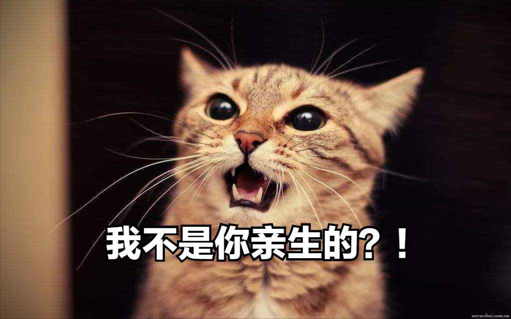 我家猫以为自己是人，还是我亲生的，这还有救吗？