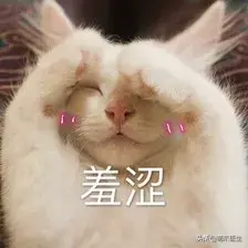 猫毛囊炎怎么治疗(猫毛囊炎怎么引起的)