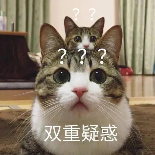 用纸箱做猫咪产房图解(怎么用纸箱子做猫产房)