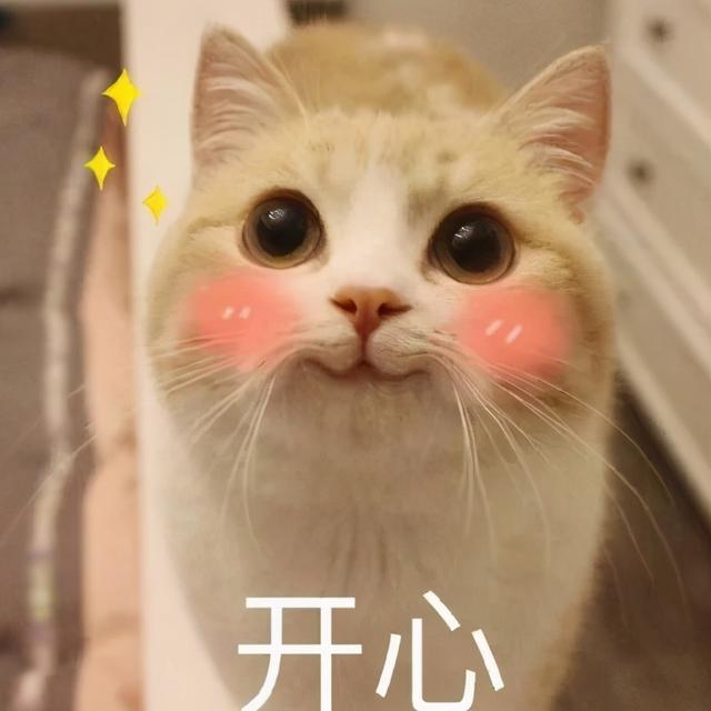 给猫咪吃鸡胸肉优缺点(给猫咪吃鸡胸肉优缺点是什么)