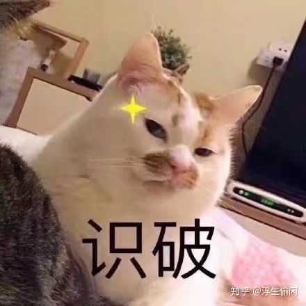 猫声音沙哑感觉卡住了 猫咪被卡住气管的症状