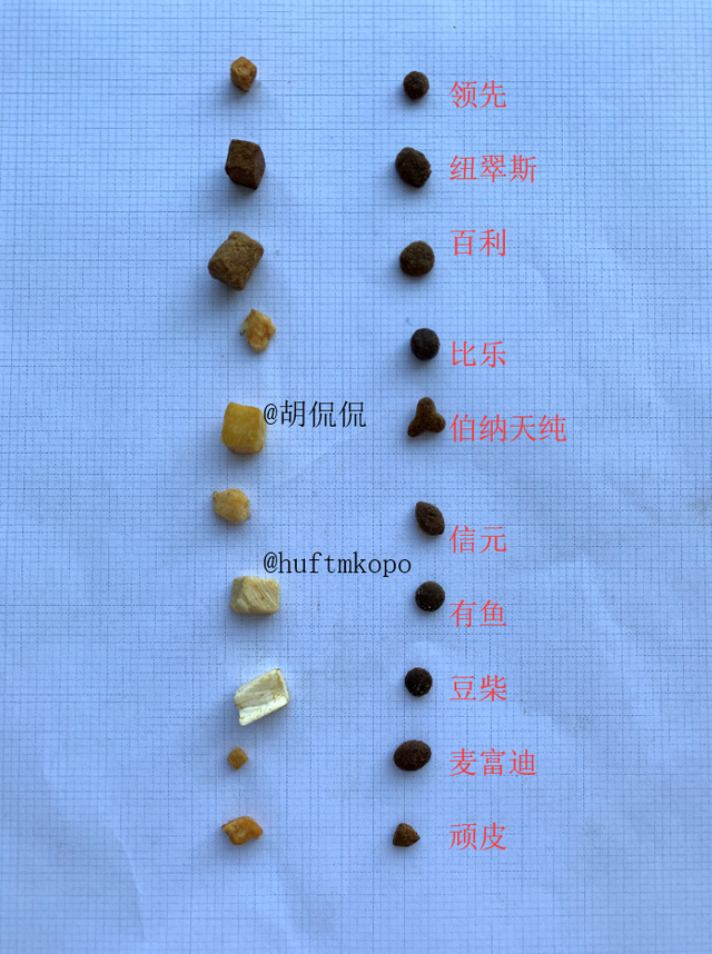 猫疱疹病毒能自愈吗(猫疱疹病毒可以自愈吗)