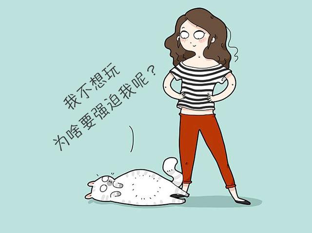 猫咪胆子太小怎么办(猫咪胆子很小怎么办)