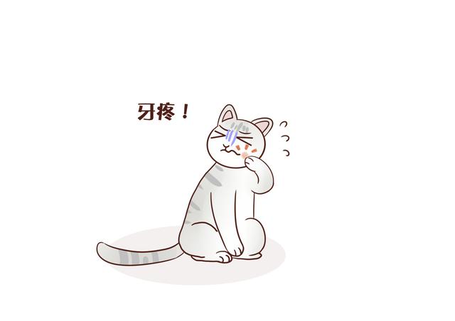 多大算成猫(猫咪多大算成猫)