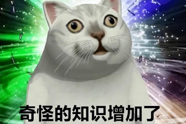 猫会放屁吗(猫会放屁吗有声音吗)