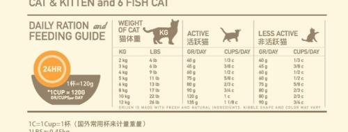 土猫适合当宠物吗 小土猫怎么养听话