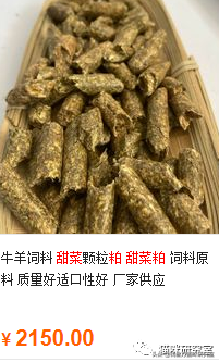 冠能猫粮属于什么档次(冠能猫粮到底好不好)