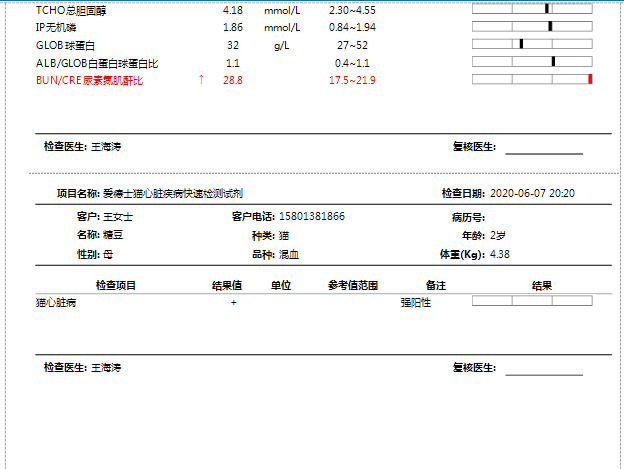 hcm猫症状怎么治疗(猫HCM症状)