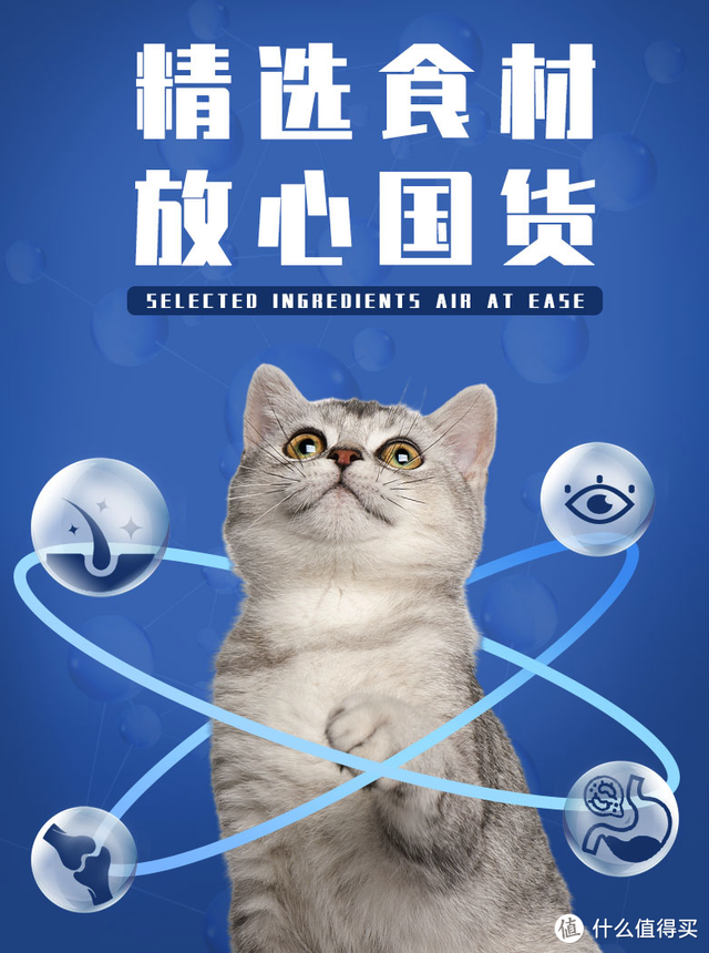 海洋之星猫粮怎么样(海洋之星猫粮是哪国的)