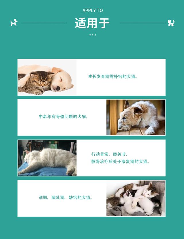 猫咪抽搐是什么情况(猫咪抽搐是什么情况像打喷嚏一样)