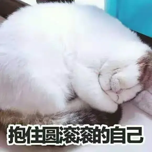 猫的应激反应(猫的应激反应怎样缓解)