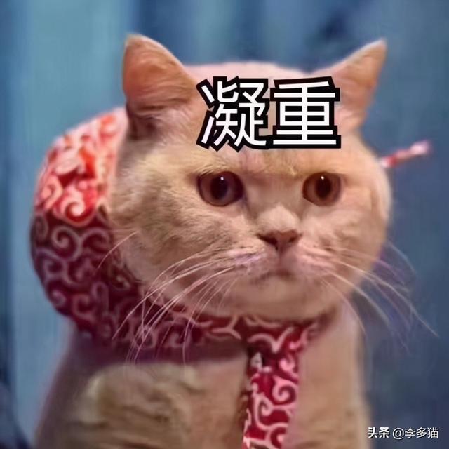 猫咪体内驱虫(猫咪体内驱虫注意事项)